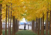 ঋতু পরিবর্তন