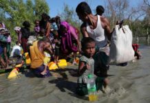 অবশিষ্ট রোহিঙ্গারা এবার আসছে