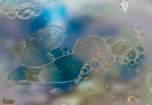 এবার জল আর তেল মিশে যাবে