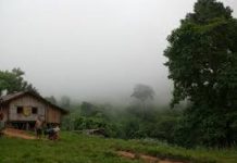 গুঁড়ি গুঁড়ি বৃষ্টি হতে পারে আরও দুদিন