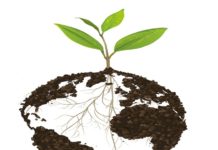 ৩শ’ থেকে হাজার বছরে গঠিত হয় এক ইঞ্চি মাটি: ক্ষয় হতে লাগে মাত্র দুই বছর