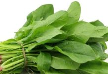 চুল পড়া রোধ করবে পালংশাক!