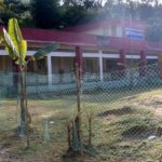 বান্দরবানে স্কুলের মাঠ দখল করে সবজি চাষ : খেলাধুলা বঞ্চিত শিশু শিক্ষার্থীরা