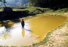 লামায় ৩৩ টি মৎস ক্রীক কোন কাজে আসছে না