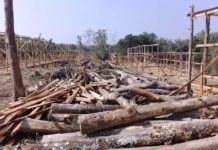 মাটিরাঙ্গায় অবৈধ কাঠ পাচার: জেগে ঘুমাচ্ছে বন বিভাগ