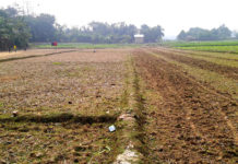 লামায় অাদালতের নিষেধাজ্ঞা অমান্য করে জমি দখলের চেষ্টা