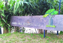 সাইরু ম্রোর অমর প্রেম কাহিনী; সাক্ষী হয়ে দাঁড়িয়ে আছে আলিঙ্গনরত দুটি গাছ