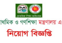 প্রাথমিক ও গণশিক্ষা মন্ত্রণালয়ে নতুন নিয়োগ