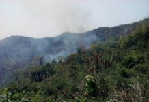 টেকনাফের পাহাড়ে আগুন, ধোঁয়ার কুণ্ডলী