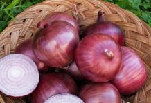 পেঁয়াজের উপকারিতা