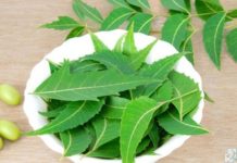 নিমপাতার ৭টি উপকারিতা