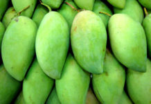 কাঁচা আমের ৫ গুণ