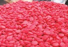 ইয়াবা গডফাদাররা আত্মগোপনে yaba