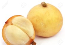 লটকনের পুষ্টিগুণ