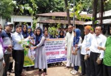 বীর শহীদদের স্মরণে আলীকদমে বৃক্ষরোপণ