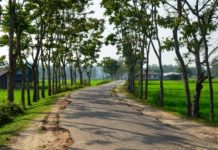 চার বছরে ৪৩ জন অপহরণ ও দেড় শতাধিক ডাকাতি আতঙ্কের নাম বাইশারী-গর্জনিয়া সড়ক