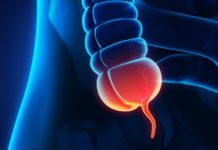 অ্যাপেনডিক্স দেহে রোগ প্রতিরোধে সহায়ক, জানাচ্ছে গবেষণা!