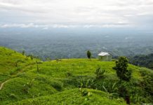 বান্দরবানে স্ত্রীকে ধর্ষণের পর হত্যা ॥ স্বামীকে অপহরণ