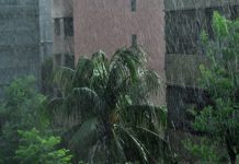 বৃষ্টি থাকবে আরো দুই দিন