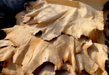 ঈদুল আজহা উপলক্ষে চামড়ার দাম নির্ধারণ