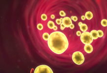 মানুষের রক্তে মিশে আছে সোনা!