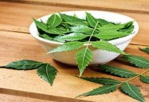 নিমপাতায় সহজেই দূর হবে যেসব সমস্যা