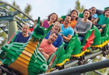 রোলার কোস্টারেই চড়লে দূর হবে কিডনির পাথর!