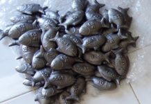 শরীরের আয়রন অভাব দূর করতে রান্নায় লোহার তৈরি মাছ!