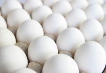 এবার বিনামূল্যে বিতরণ করা হবে সিদ্ধডিম