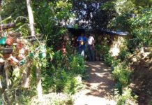 অর্কিডে সাফল্য বান্দরবানের পাহাড়ে নয়নের অর্কিড বাড়ি ; শোভা পাচ্ছে বাহারি অর্কিড