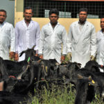 ব্ল্যাক বেঙ্গল ছাগলের পূর্ণাঙ্গ জীবনরহস্য উন্মোচন