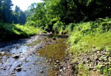 পাথর শেষ, এখন নুড়িও যাচ্ছে!