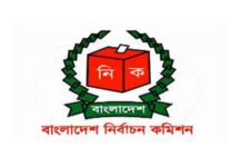 ভোটার প্রতি ১০ টাকার বেশি খরচ নয়: ইসি