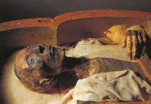 পাসপোর্ট তৈরি হয়েছিল যে মমির জন্য!