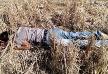 পানছড়িতে ব্রাশফায়ারে নিহত দুই