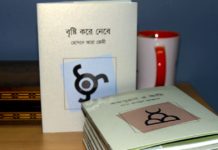 মেলায় এলো হোসনে আরা জেমীর ‘বৃষ্টি করে নেবে’