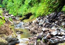 বান্দরবানের সাঙ্গু ও মাতামুহুরী নদীর পাথর উত্তোলন বন্ধে হাইকোর্টের নির্দেশ