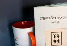 বইমেলায় শ্রাবণী জুঁই’র ‘রৌদ্রকরোটিতে জমেছে দুঃখ’