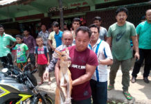 খাগড়াছড়িতে বন্য হরিণ উদ্ধার করে বন বিভাগে হস্তান্তর