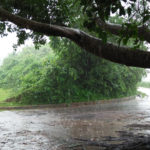 রোববার রাতে বৃষ্টি হতে পারে, কমবে তাপমাত্রা