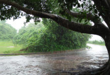 রোববার রাতে বৃষ্টি হতে পারে, কমবে তাপমাত্রা