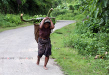 পাহাড়ের জীবন