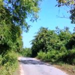 রোয়াংছড়িতে জনসংহতি সমিতির সমর্থককে গুলি করে হত্যা