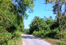 রোয়াংছড়িতে জনসংহতি সমিতির সমর্থককে গুলি করে হত্যা