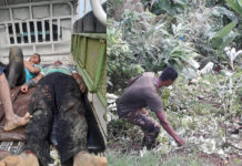 সেনাবাহিনীর মাইক্রোবাস খাদে: ১ সেনা সদস্য নিহত, আহত ৯