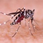 ‘ডেঙ্গু রোগীর ভিড়ে সরকারি, বেসরকারি হাসপাতাল ক্লিনিক – কোথাও জায়গা নেই’