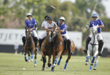 পোলো খেলার উদ্ভব