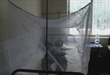 এবার ডেঙ্গু রোগী পাওয়া গেলো বান্দরবানেও, আক্রান্ত ঢাকা থেকে