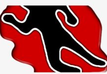 চুয়াডাঙ্গায় মাদ্রাসা ছাত্রের মাথাবিহীন লাশ উদ্ধার, এলাকায় আতঙ্ক