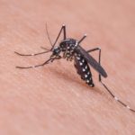 ডেঙ্গু রোগ নির্ণয়ে বান্দরবানে সরকারি কোনো ব্যবস্থা নেই, শীঘ্রই পদক্ষেপ নেয়া হচ্ছে: সিভিল সার্জন